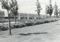 502929 Gezicht op het plantsoen met berberis aan de Koningin Wilhelminalaan te Utrecht.